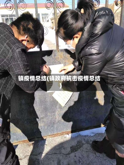 镇疫情总结(镇政府抗击疫情总结)-第2张图片