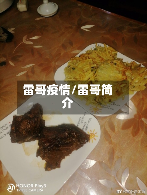 雷哥疫情/雷哥简介