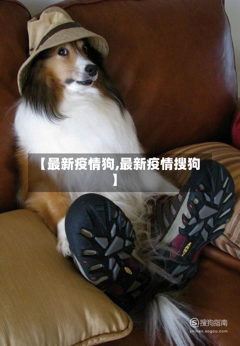 【最新疫情狗,最新疫情搜狗】-第2张图片