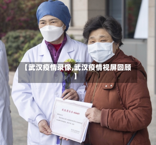 【武汉疫情录像,武汉疫情视屏回顾】-第3张图片