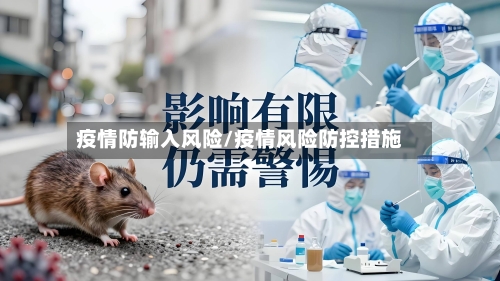 疫情防输入风险/疫情风险防控措施