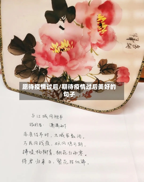 愿待疫情过后/期待疫情过后美好的句子