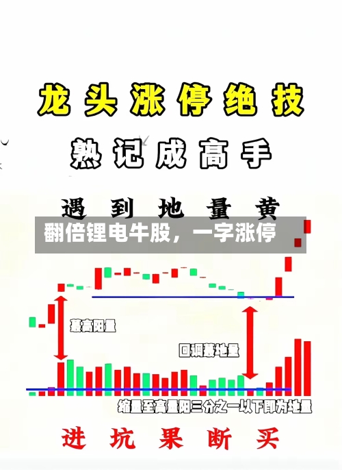 翻倍锂电牛股，一字涨停-第3张图片