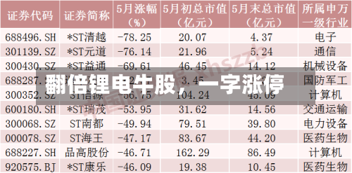 翻倍锂电牛股，一字涨停-第2张图片