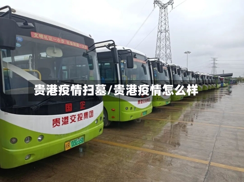 贵港疫情扫墓/贵港疫情怎么样-第2张图片