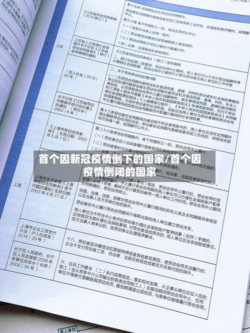 首个因新冠疫情倒下的国家/首个因疫情倒闭的国家