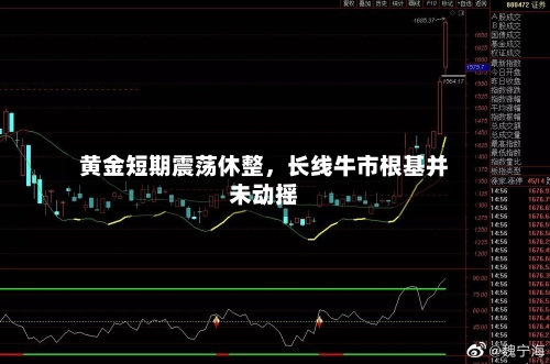 黄金短期震荡休整	，长线牛市根基并未动摇-第3张图片