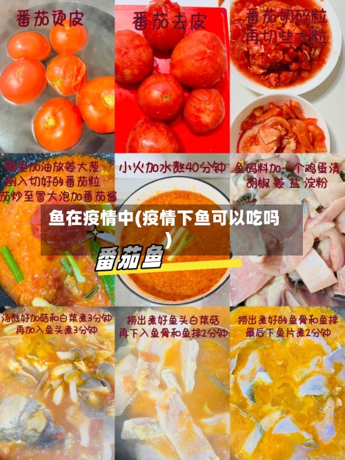 鱼在疫情中(疫情下鱼可以吃吗)-第3张图片
