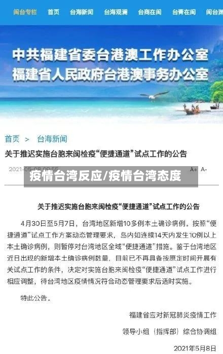 疫情台湾反应/疫情台湾态度