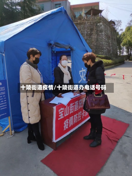十陵街道疫情/十陵街道办电话号码
