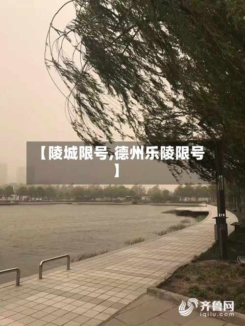 【陵城限号,德州乐陵限号】-第1张图片
