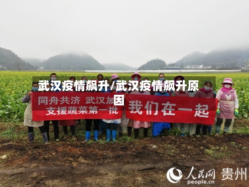 武汉疫情飙升/武汉疫情飙升原因-第3张图片