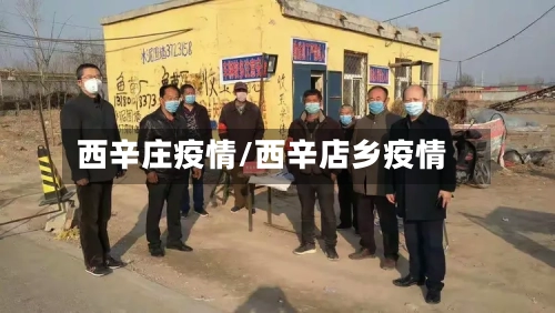 西辛庄疫情/西辛店乡疫情-第2张图片