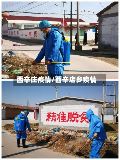 西辛庄疫情/西辛店乡疫情