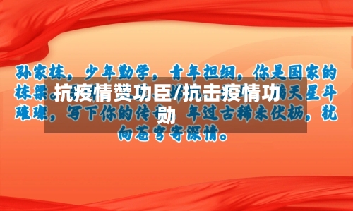 抗疫情赞功臣/抗击疫情功勋