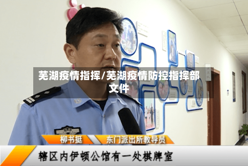芜湖疫情指挥/芜湖疫情防控指挥部文件-第2张图片