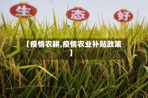 【疫情农耕,疫情农业补贴政策】