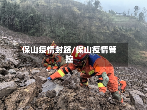 保山疫情封路/保山疫情管控-第2张图片