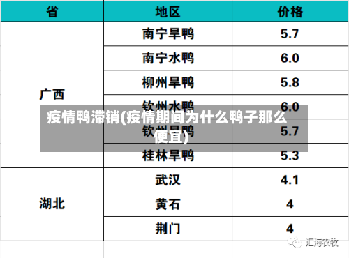 疫情鸭滞销(疫情期间为什么鸭子那么便宜)