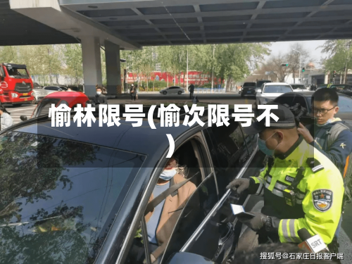 愉林限号(愉次限号不)-第2张图片