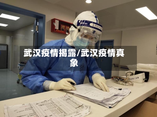 武汉疫情揭露/武汉疫情真象-第3张图片