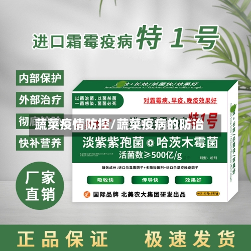 蔬菜疫情防控/蔬菜疫病的防治-第2张图片
