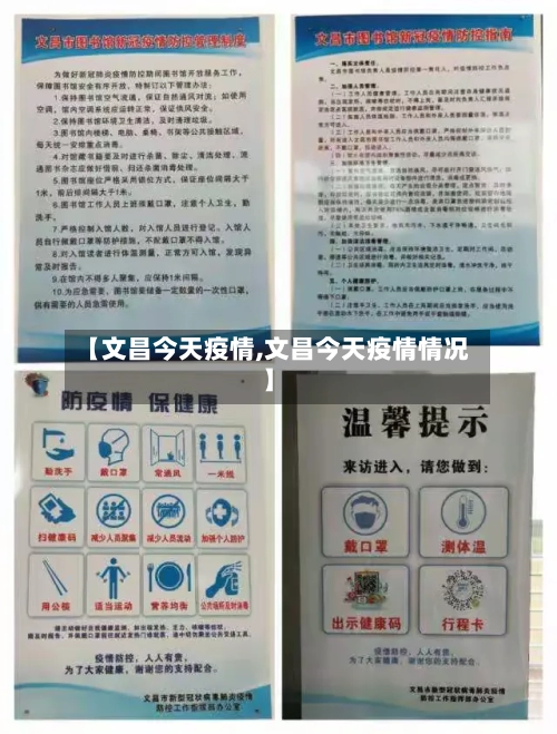 【文昌今天疫情,文昌今天疫情情况】-第3张图片