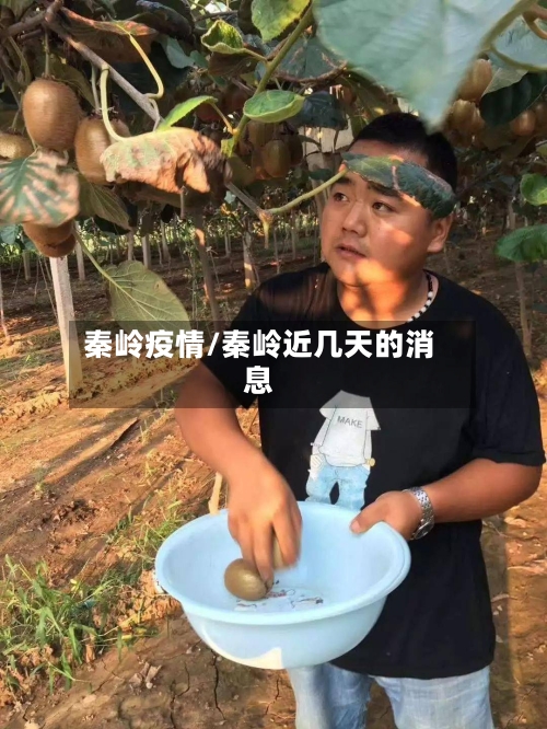 秦岭疫情/秦岭近几天的消息