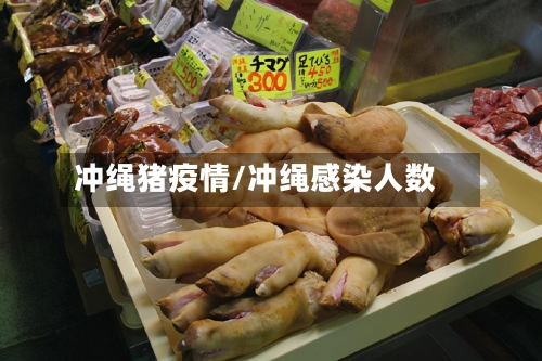 冲绳猪疫情/冲绳感染人数