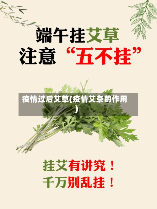 疫情过后艾草(疫情艾条的作用)