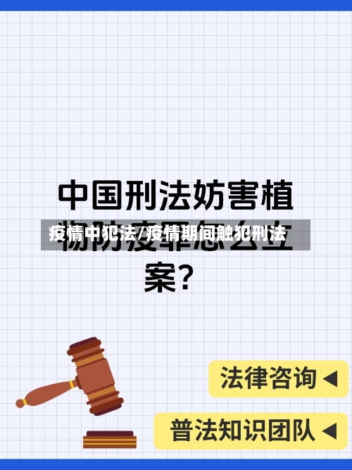 疫情中犯法/疫情期间触犯刑法