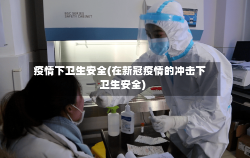 疫情下卫生安全(在新冠疫情的冲击下卫生安全)-第3张图片