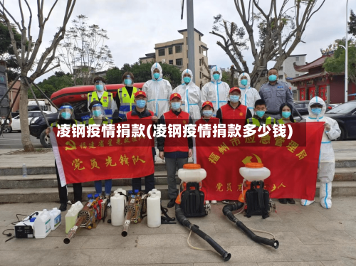 凌钢疫情捐款(凌钢疫情捐款多少钱)-第2张图片