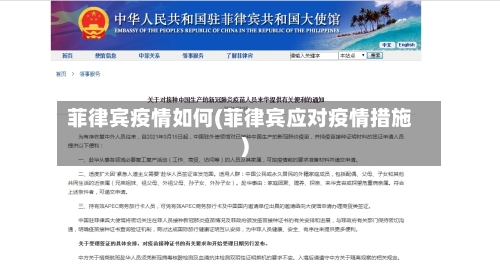 菲律宾疫情如何(菲律宾应对疫情措施)-第3张图片