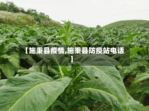 【施秉县疫情,施秉县防疫站电话】-第2张图片