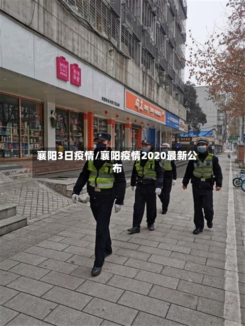 襄阳3日疫情/襄阳疫情2020最新公布-第2张图片