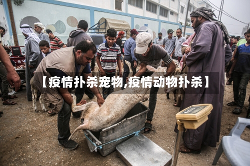 【疫情扑杀宠物,疫情动物扑杀】-第1张图片