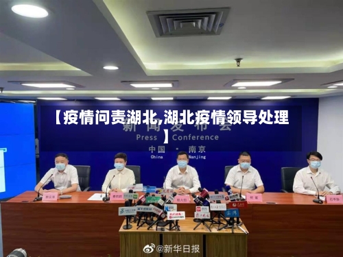 【疫情问责湖北,湖北疫情领导处理】