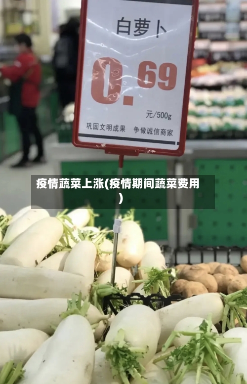 疫情蔬菜上涨(疫情期间蔬菜费用)-第2张图片