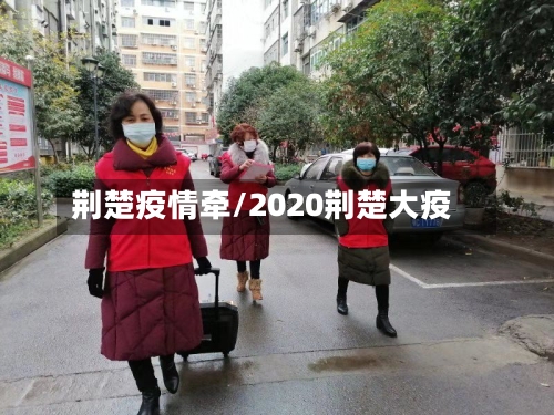 荆楚疫情牵/2020荆楚大疫-第2张图片