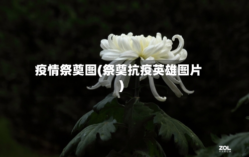 疫情祭奠图(祭奠抗疫英雄图片)-第3张图片