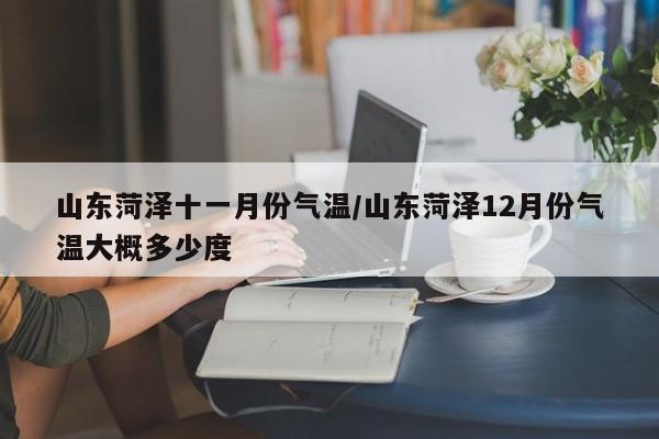 山东菏泽十一月份气温/山东菏泽12月份气温大概多少度