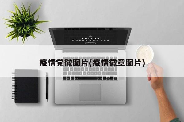 疫情党徽图片(疫情徽章图片)
